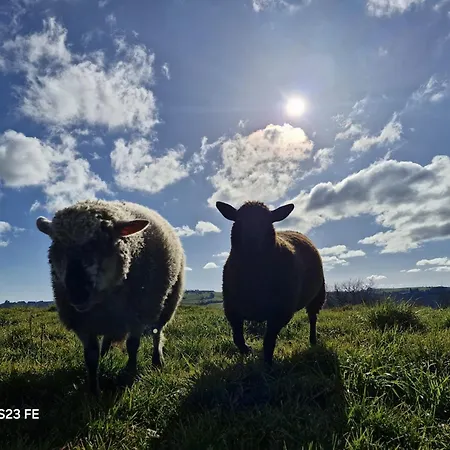 بيت للعطل La Vieille Grange Avec Piscine Et Jardin *
