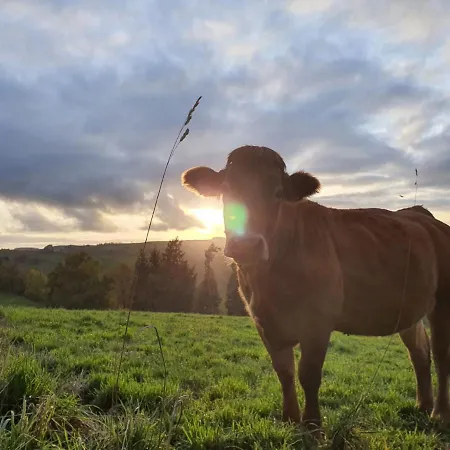 La Vieille Grange Avec Piscine Et Jardin Feriehus Previnquieres