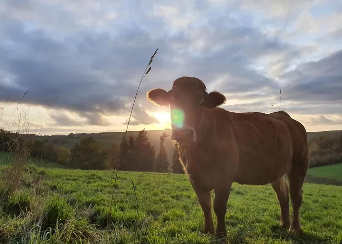 La Vieille Grange Avec Piscine Et Jardin Hébergement de vacances Previnquieres